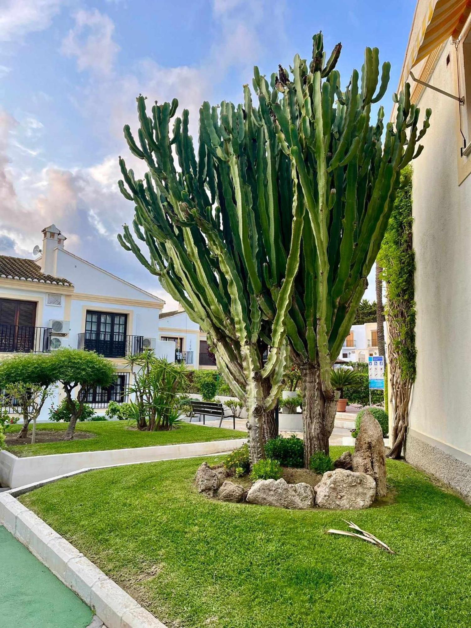 Apartamento Vera Coast 123 Playas de Vera Exterior foto